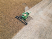 AAC Yellow 80 Mustard Harvest 2024