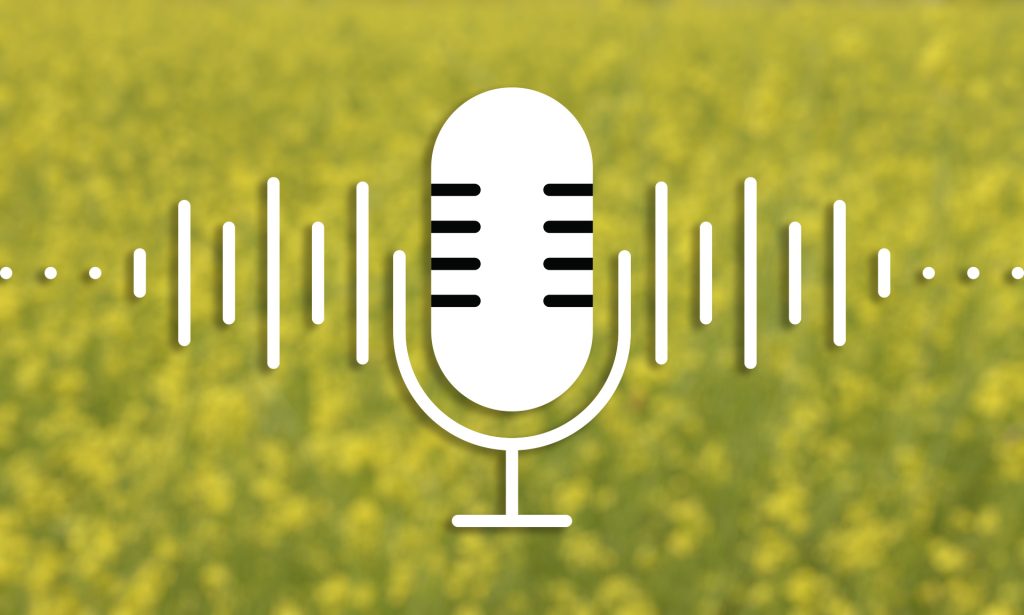 Radio interview